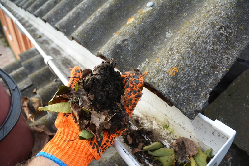 Garage Gutter Cleaning in Monmouth County, NJ